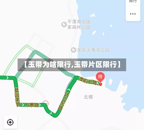 【玉带为啥限行,玉带片区限行】-第2张图片