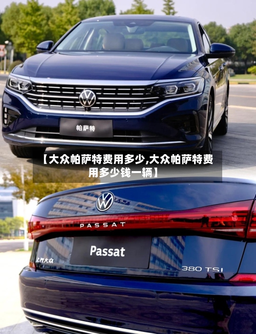 【大众帕萨特费用多少,大众帕萨特费用多少钱一辆】