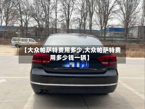 【大众帕萨特费用多少,大众帕萨特费用多少钱一辆】-第2张图片