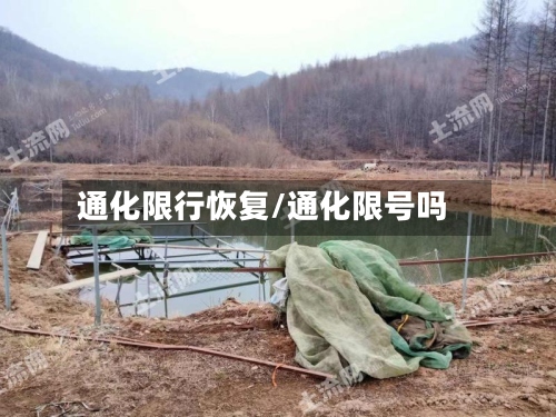 通化限行恢复/通化限号吗-第2张图片