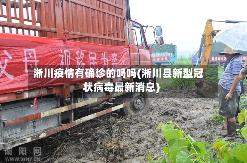 淅川疫情有确诊的吗吗(淅川县新型冠状病毒最新消息)-第3张图片