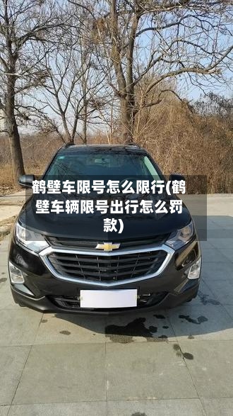 鹤壁车限号怎么限行(鹤壁车辆限号出行怎么罚款)