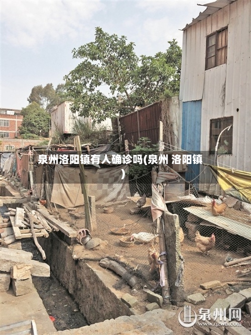 泉州洛阳镇有人确诊吗(泉州 洛阳镇)