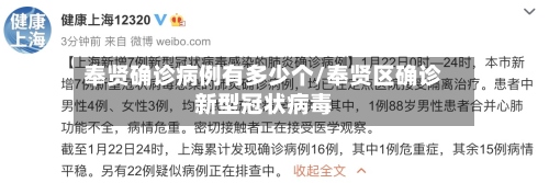 奉贤确诊病例有多少个/奉贤区确诊新型冠状病毒-第3张图片