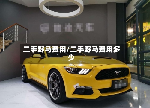 二手野马费用/二手野马费用多少-第2张图片