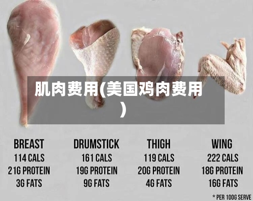肌肉费用(美国鸡肉费用)