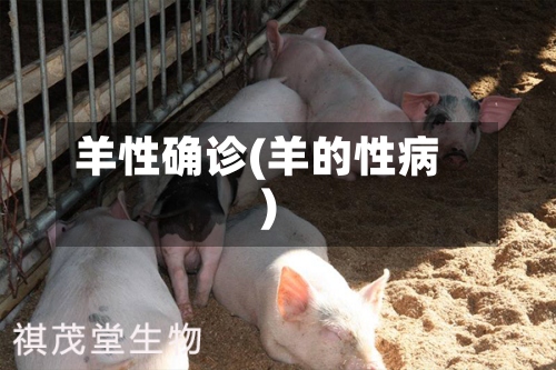 羊性确诊(羊的性病)