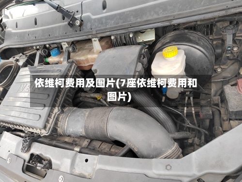 依维柯费用及图片(7座依维柯费用和图片)