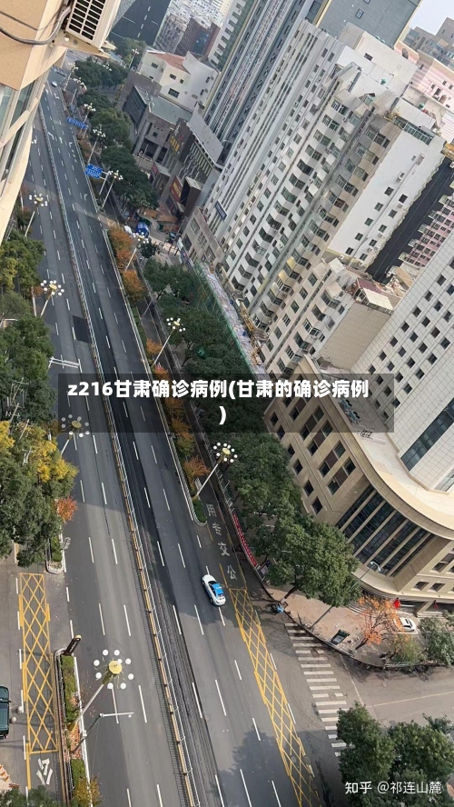 z216甘肃确诊病例(甘肃的确诊病例)