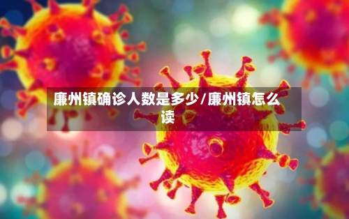 廉州镇确诊人数是多少/廉州镇怎么读-第3张图片