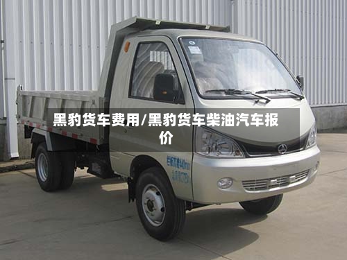 黑豹货车费用/黑豹货车柴油汽车报价