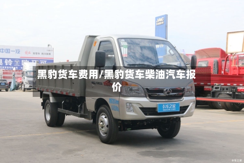 黑豹货车费用/黑豹货车柴油汽车报价-第3张图片
