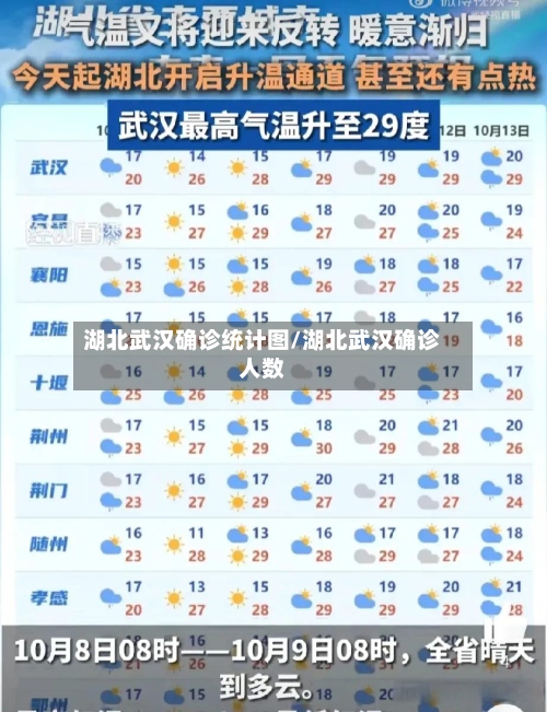 湖北武汉确诊统计图/湖北武汉确诊人数