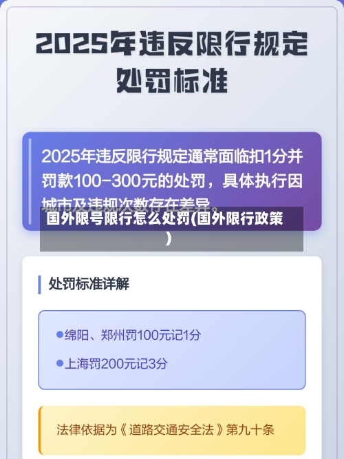 国外限号限行怎么处罚(国外限行政策)