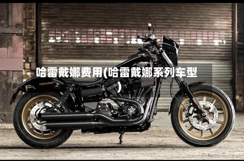 哈雷戴娜费用(哈雷戴娜系列车型)-第2张图片