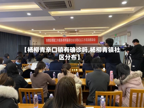 【杨柳青辛口镇有确诊吗,杨柳青镇社区分布】