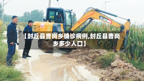 【封丘县曹岗乡确诊病例,封丘县曹岗乡多少人口】