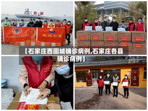 【石家庄西固城确诊病例,石家庄各县确诊病例】