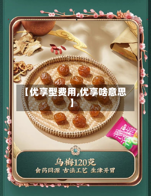 【优享型费用,优享啥意思】