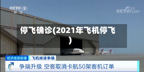 停飞确诊(2021年飞机停飞)