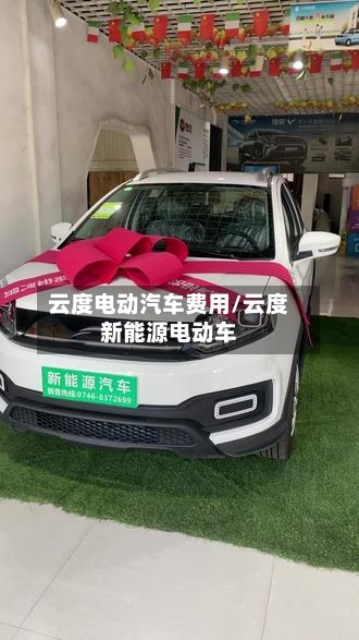 云度电动汽车费用/云度新能源电动车-第2张图片