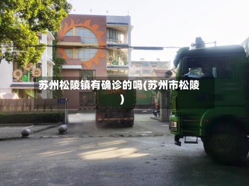 苏州松陵镇有确诊的吗(苏州市松陵)-第2张图片