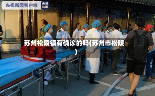 苏州松陵镇有确诊的吗(苏州市松陵)-第3张图片