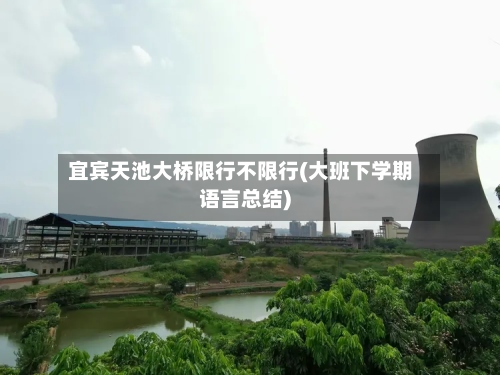 宜宾天池大桥限行不限行(大班下学期语言总结)-第3张图片
