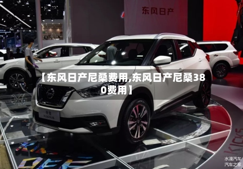 【东风日产尼桑费用,东风日产尼桑380费用】-第3张图片