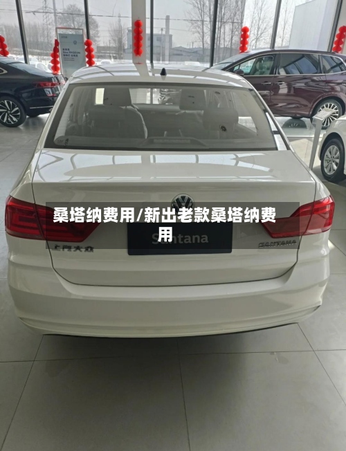 桑塔纳费用/新出老款桑塔纳费用-第3张图片
