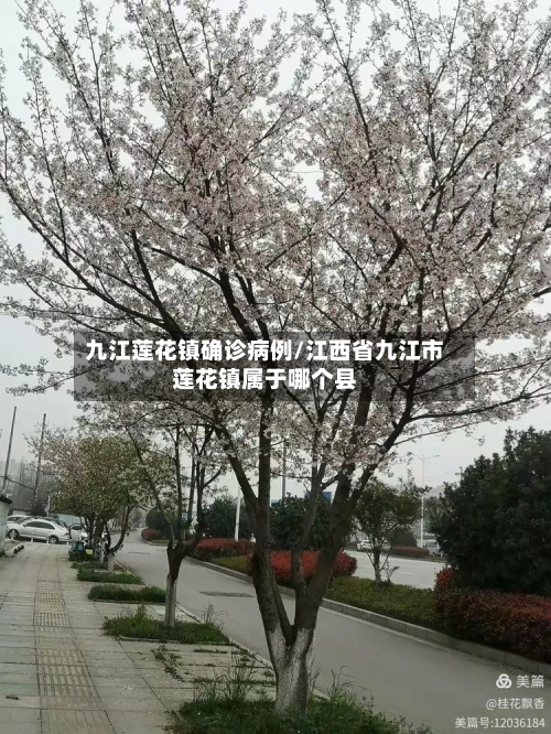 九江莲花镇确诊病例/江西省九江市莲花镇属于哪个县-第2张图片