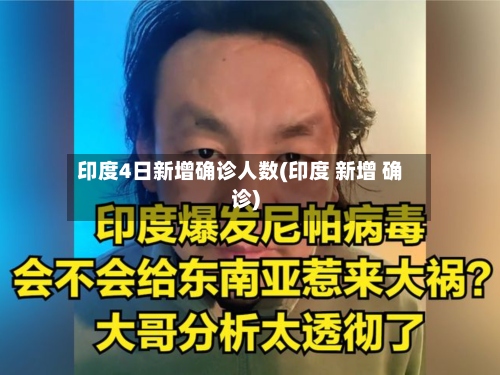 印度4日新增确诊人数(印度 新增 确诊)-第2张图片
