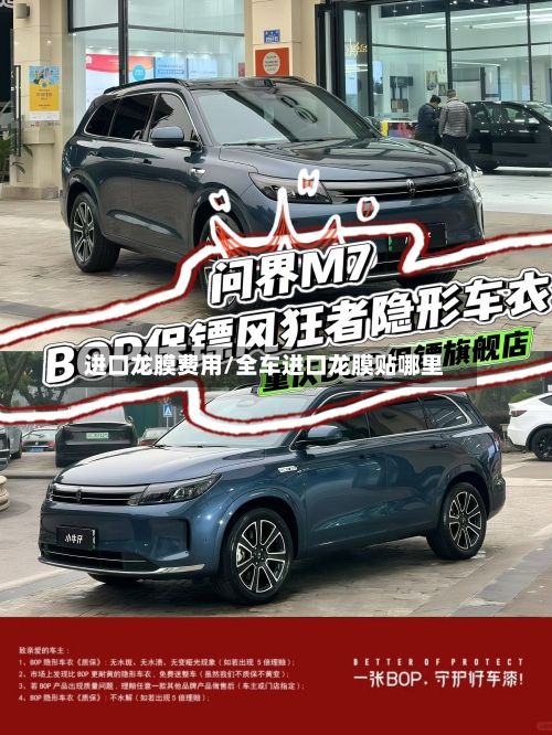 进口龙膜费用/全车进口龙膜贴哪里-第2张图片