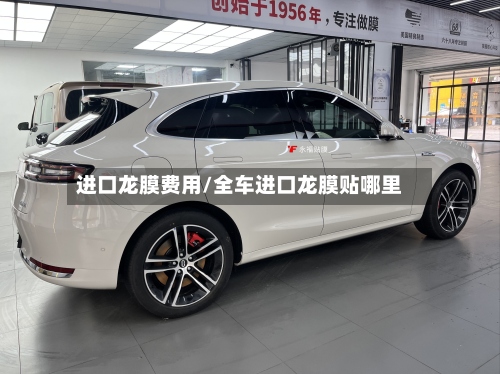 进口龙膜费用/全车进口龙膜贴哪里