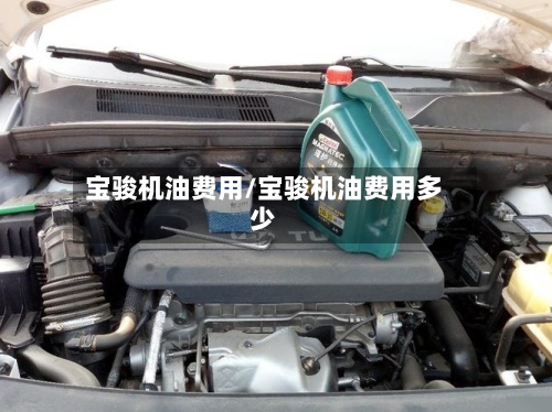 宝骏机油费用/宝骏机油费用多少-第3张图片