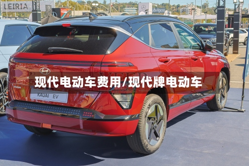 现代电动车费用/现代牌电动车