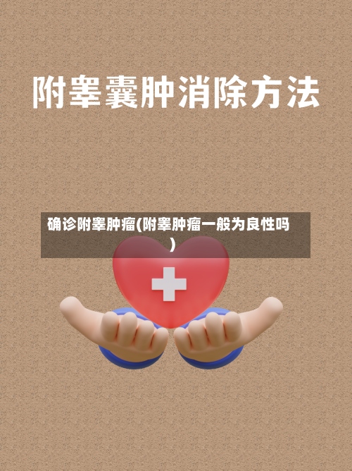 确诊附睾肿瘤(附睾肿瘤一般为良性吗)-第3张图片
