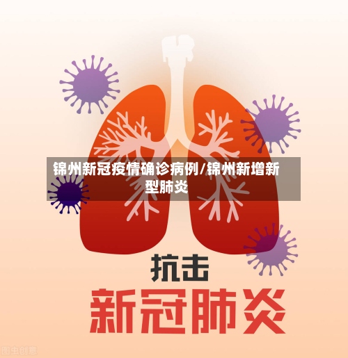 锦州新冠疫情确诊病例/锦州新增新型肺炎-第3张图片