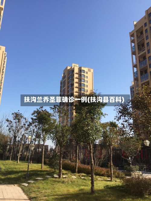 扶沟兰乔圣菲确诊一例(扶沟县百科)