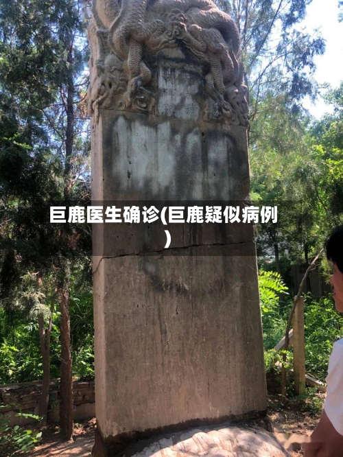 巨鹿医生确诊(巨鹿疑似病例)