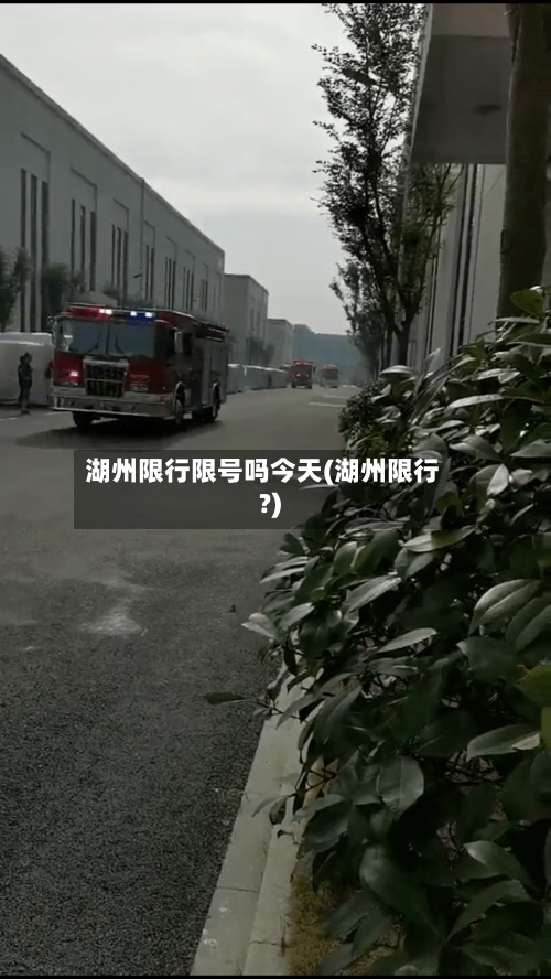 湖州限行限号吗今天(湖州限行?)-第2张图片