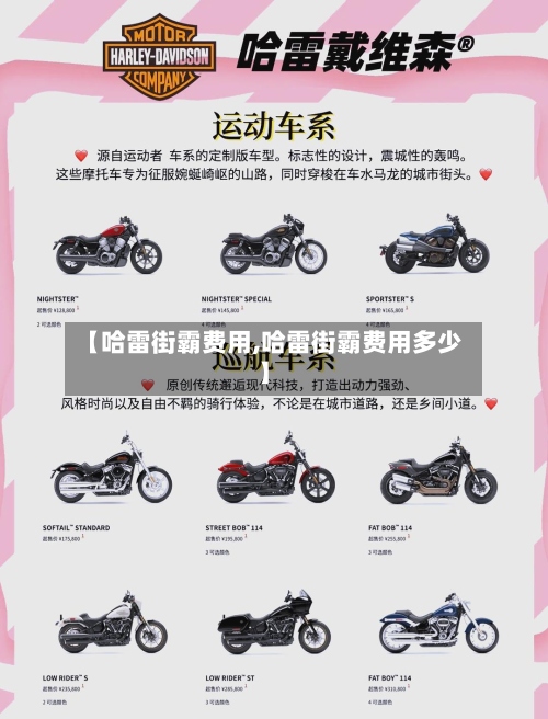 【哈雷街霸费用,哈雷街霸费用多少】-第3张图片