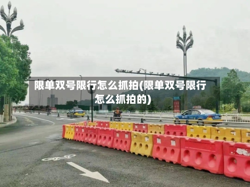 限单双号限行怎么抓拍(限单双号限行怎么抓拍的)-第2张图片