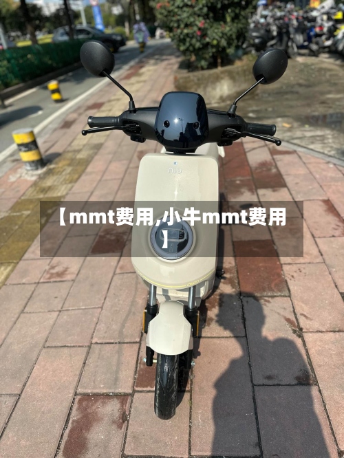 【mmt费用,小牛mmt费用】-第3张图片