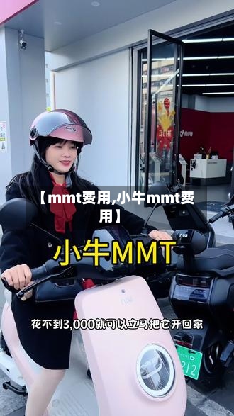 【mmt费用,小牛mmt费用】-第2张图片