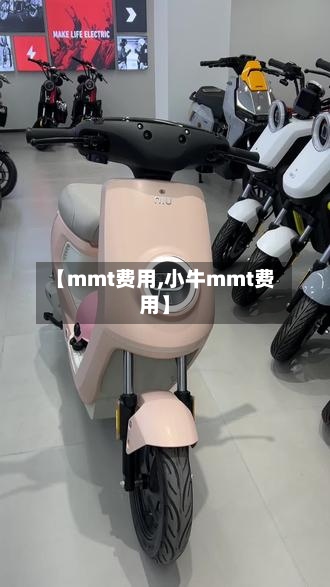 【mmt费用,小牛mmt费用】