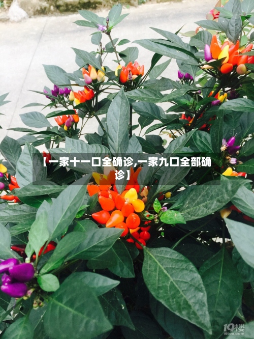【一家十一口全确诊,一家九口全部确诊】-第2张图片