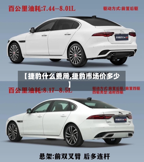 【捷豹什么费用,捷豹市场价多少】