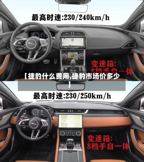 【捷豹什么费用,捷豹市场价多少】-第3张图片