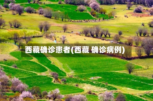 西藏确诊患者(西藏 确诊病例)-第2张图片